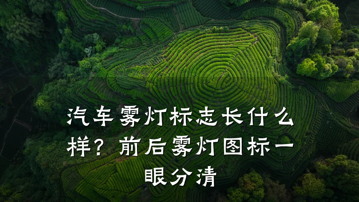 汽车雾灯标志长什么样?前后雾灯图标一眼分清