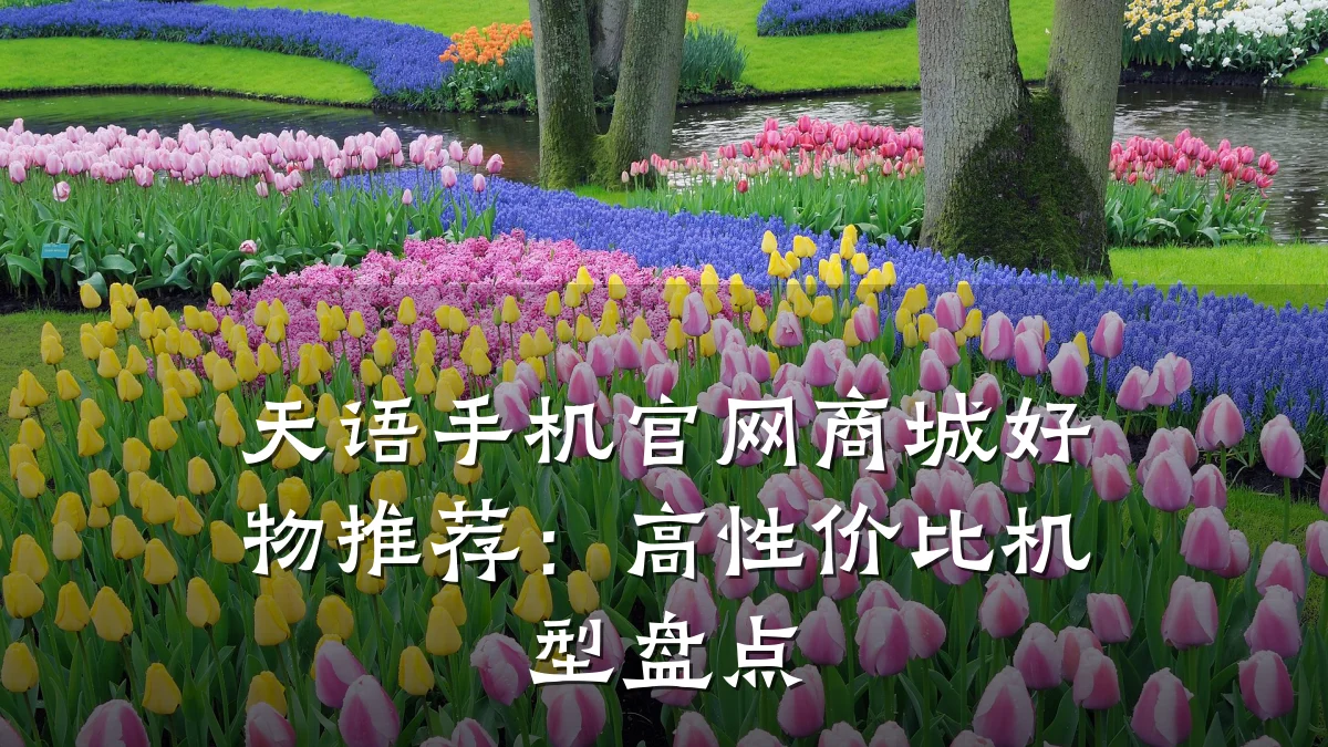天语手机官网商城好物推荐:高性价比机型盘点