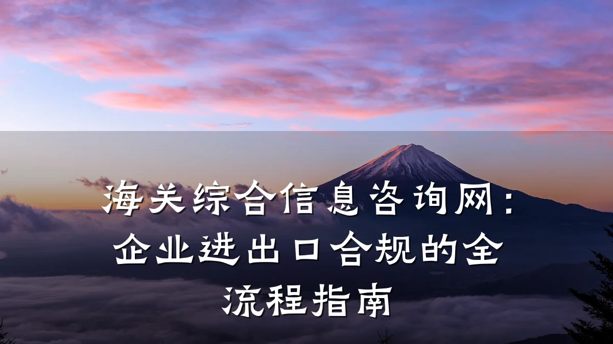 海关综合信息咨询网:企业进出口合规的全流程指南