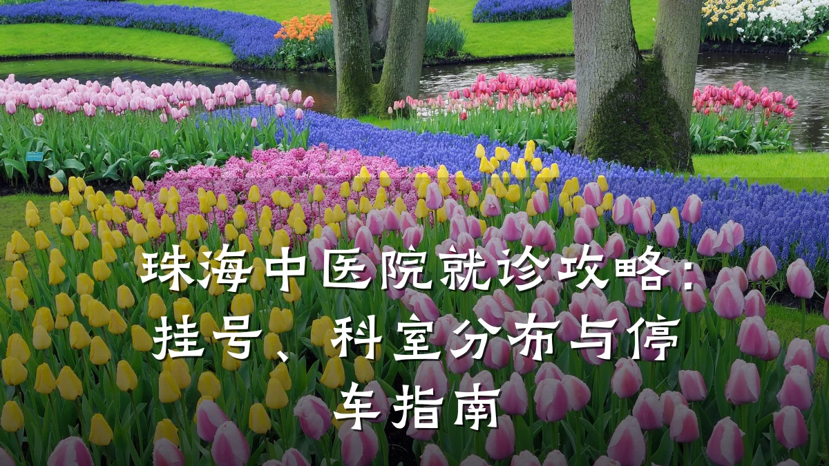 珠海中医院就诊攻略：挂号、科室分布与停车指南
