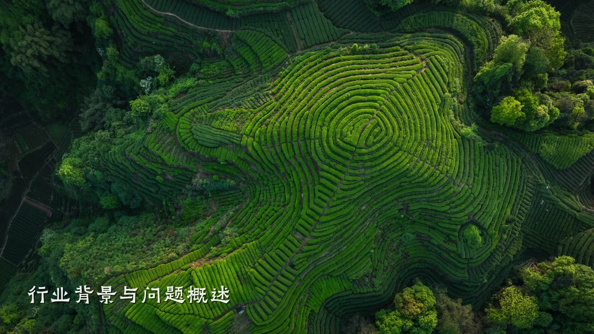 行业背景与问题概述