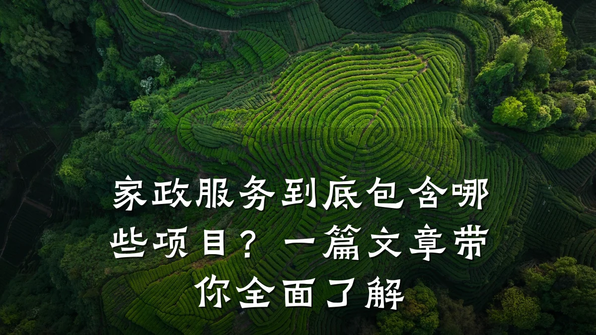 家政服务到底包含哪些项目？一篇文章带你全面了解