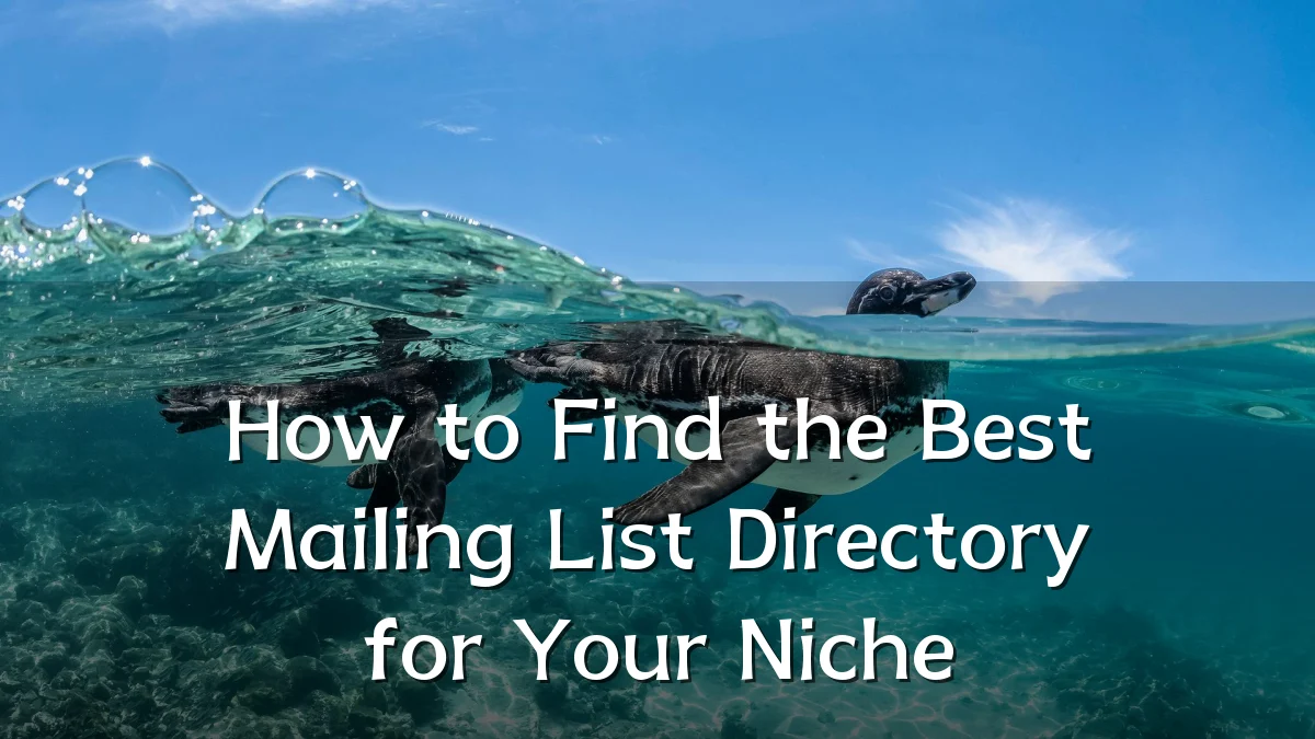 How to Find the Best Mailing List Directory for Your Niche