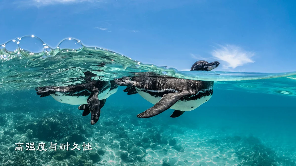 高强度与耐久性