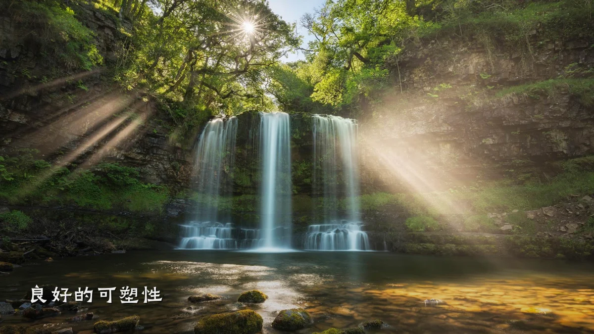 良好的可塑性
