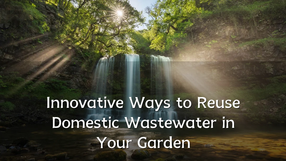Innovative Ways to Reuse Domestic Wastewater in Your Garden