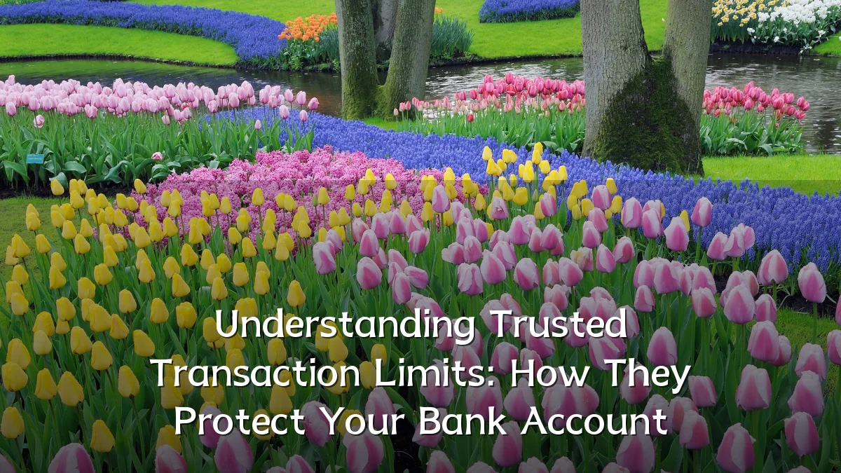 Understanding Trusted Transaction Limits: How They Protect Your Bank Account