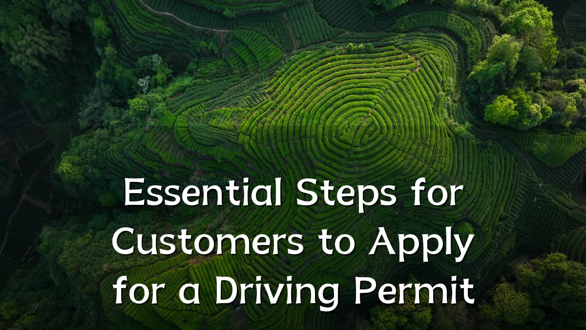 Essential Steps for Customers to Apply for a Driving Permit