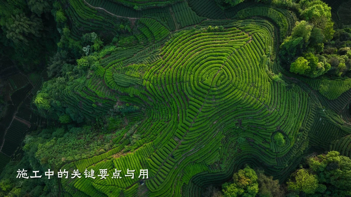 施工中的关键要点与用