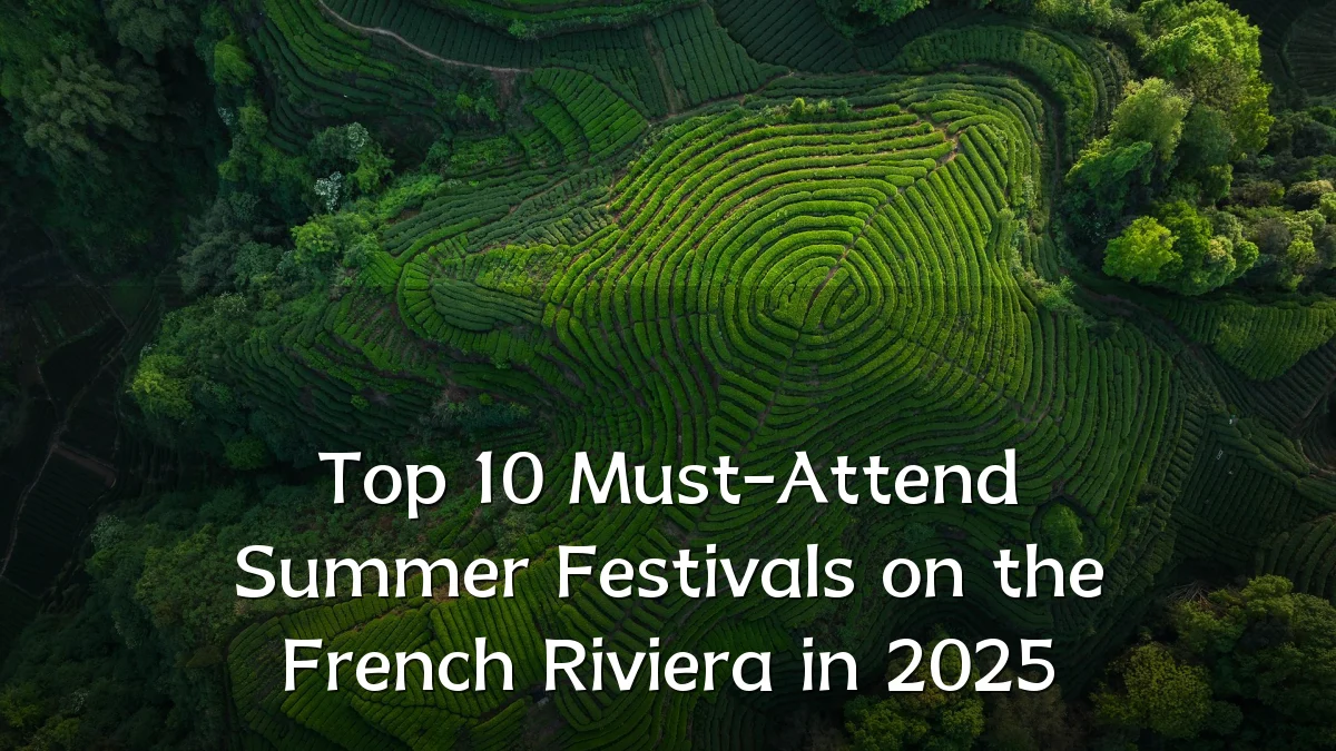 Top 10 Must-Attend Summer Festivals on the French Riviera in 2025