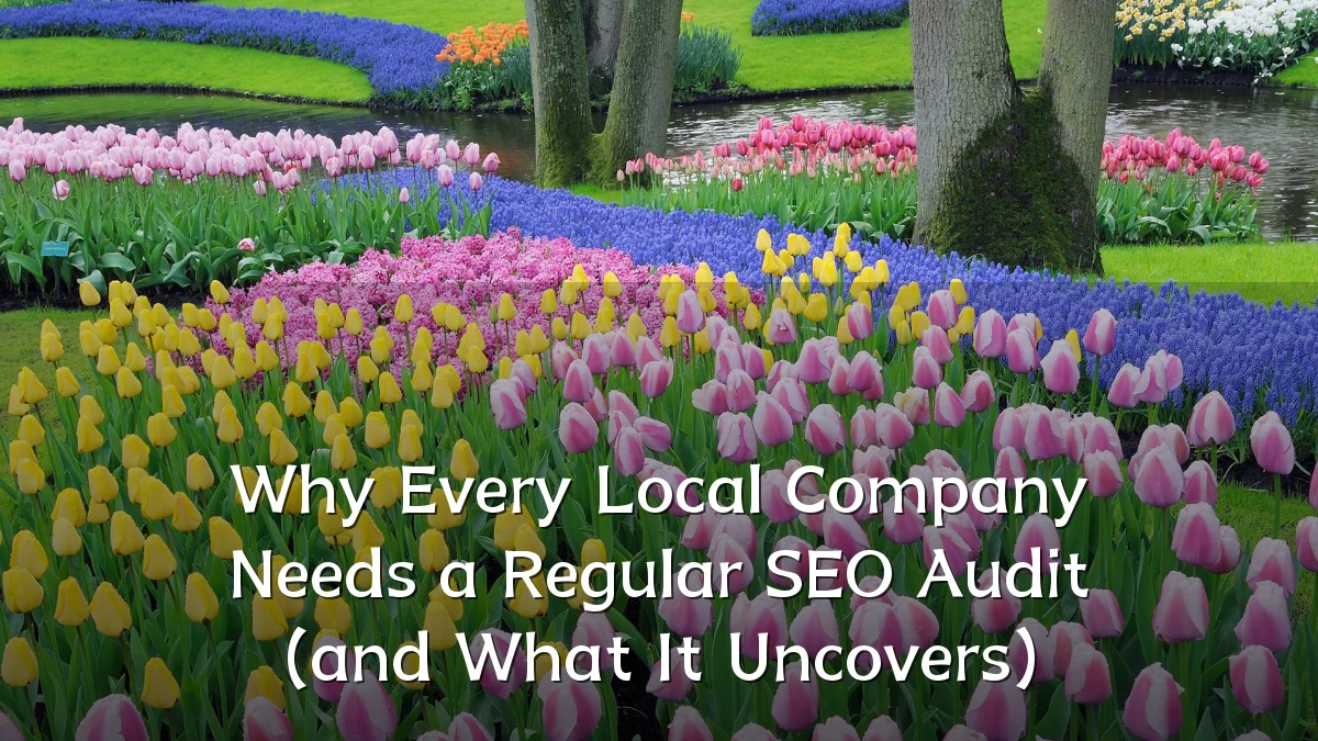 Why Every Local Company Needs a Regular SEO Audit (and What It Uncovers)