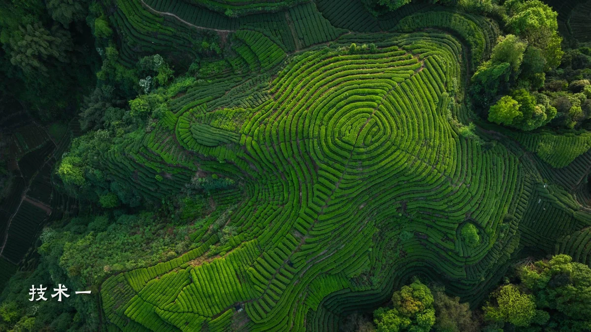 技术一