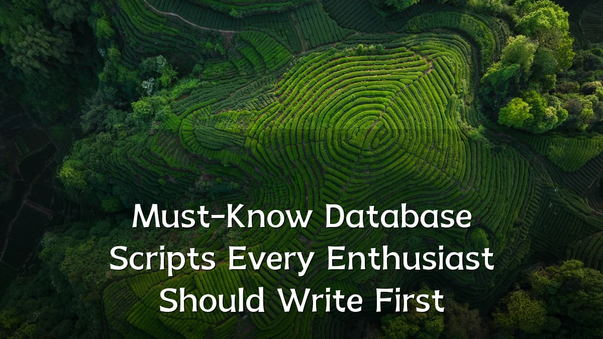 Must-Know Database Scripts Every Enthusiast Should Write First