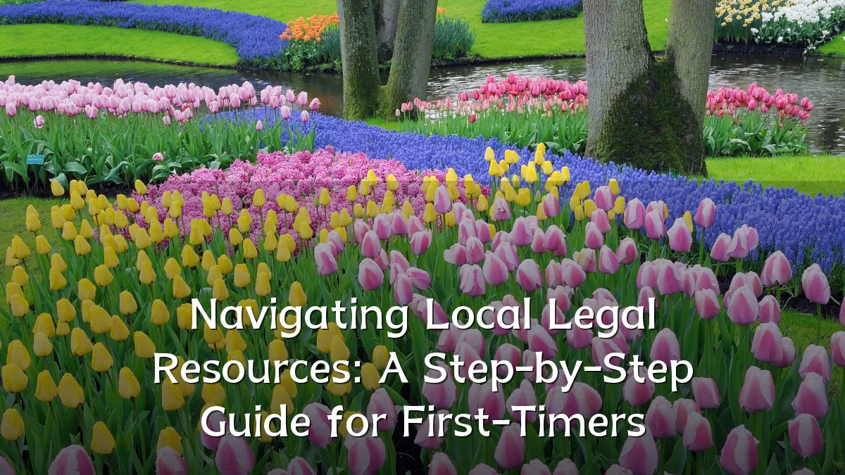 Navigating Local Legal Resources: A Step-by-Step Guide for First-Timers