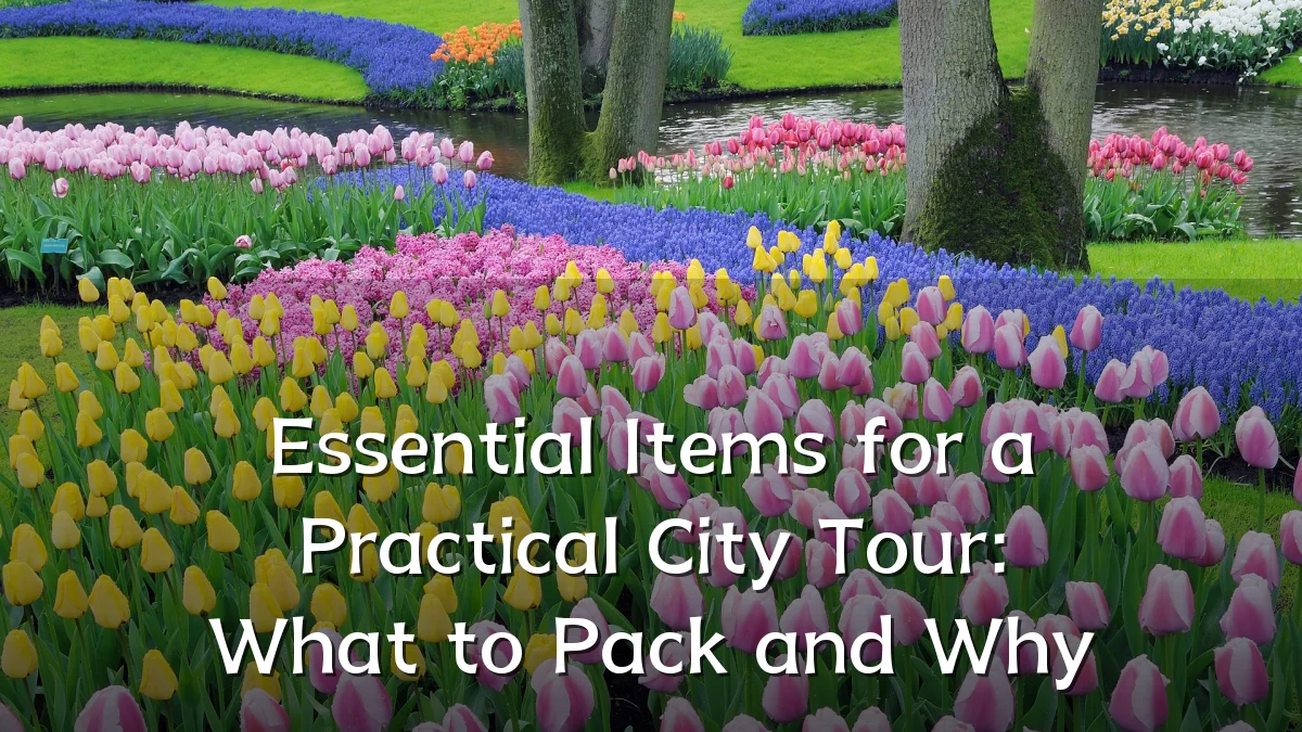 Essential Items for a Practical City Tour: What to Pack and Why