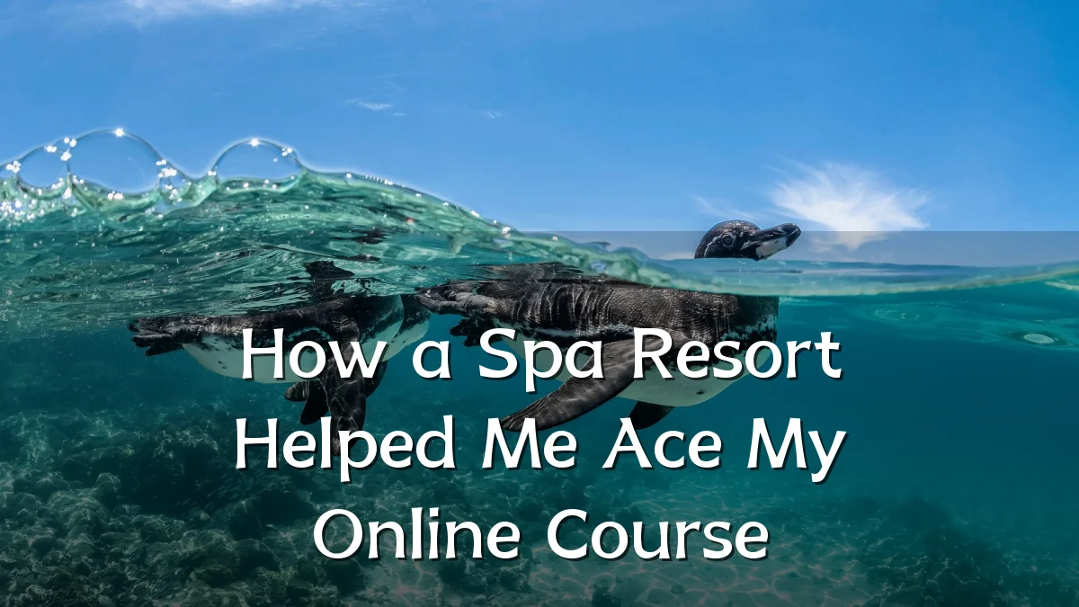 How a Spa Resort Helped Me Ace My Online Course