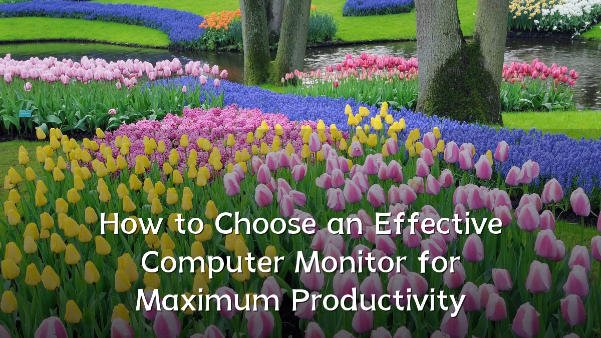 How to Choose an Effective Computer Monitor for Maximum Productivity