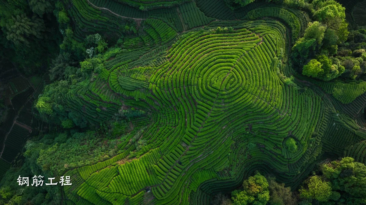 钢筋工程