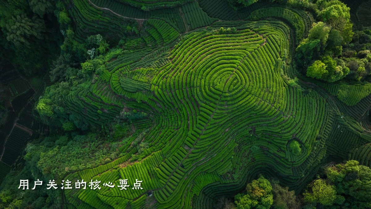 用户关注的核心要点