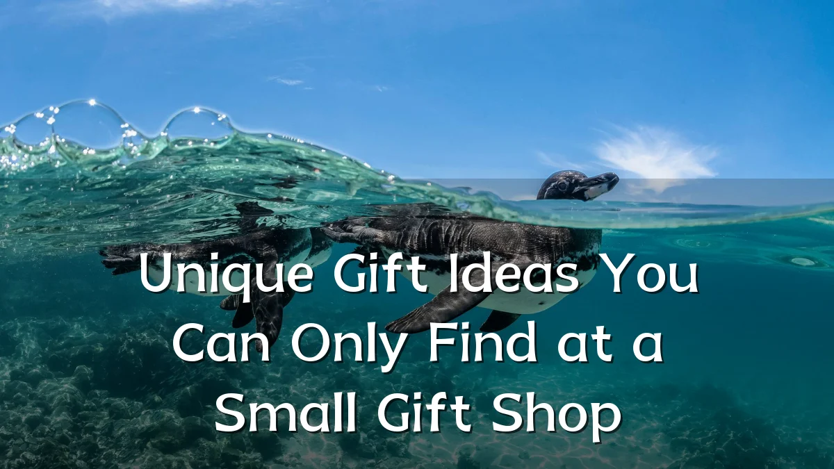 Unique Gift Ideas You Can Only Find at a Small Gift Shop
