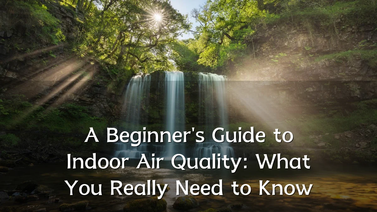 A Beginner's Guide to Indoor Air Quality: What You Really Need to Know