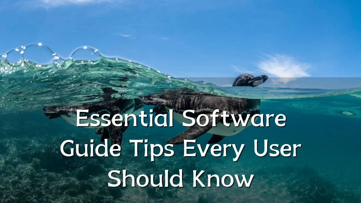 Essential Software Guide Tips Every User Should Know