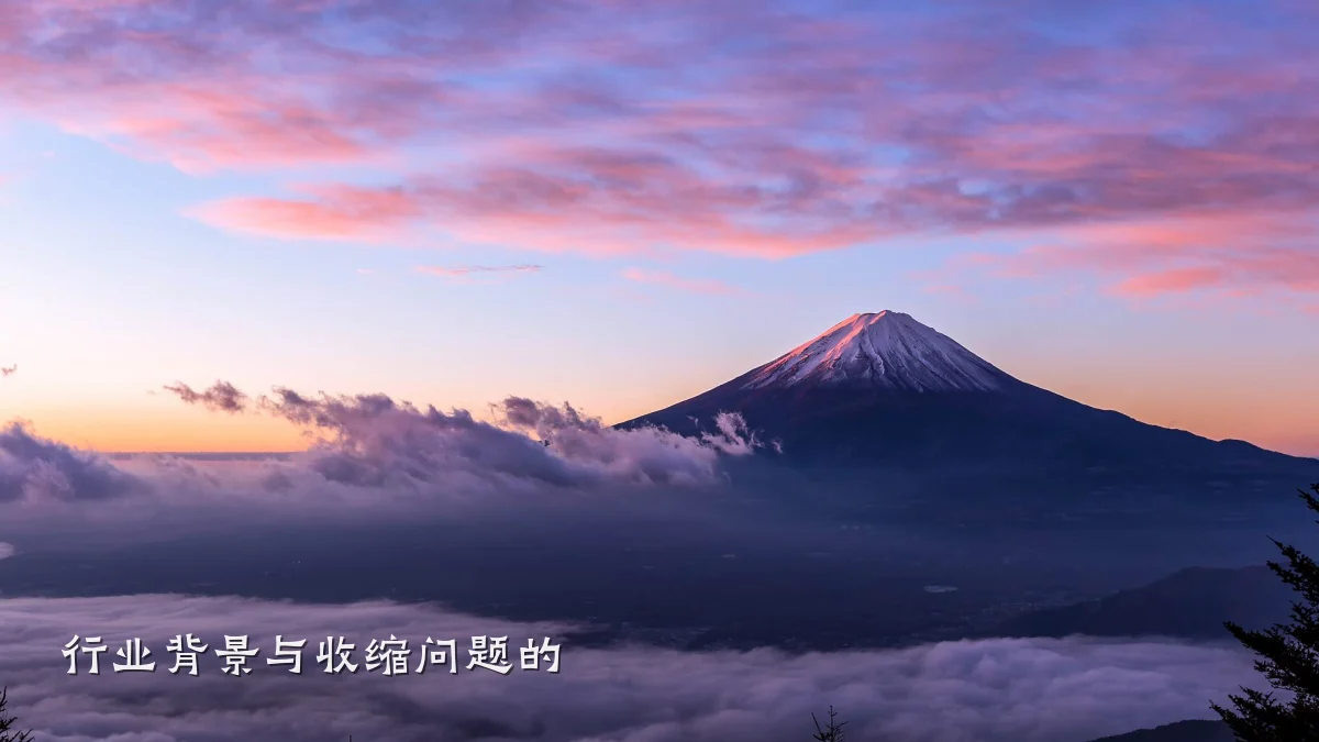 行业背景与收缩问题的