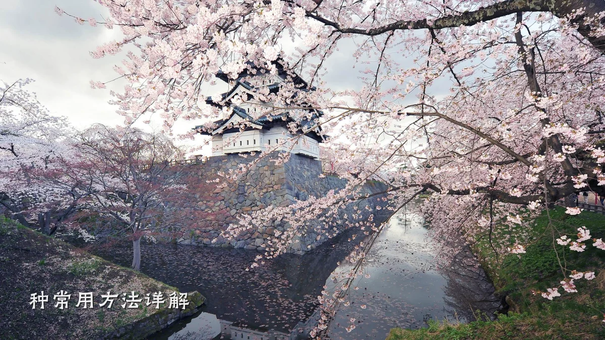 种常用方法详解