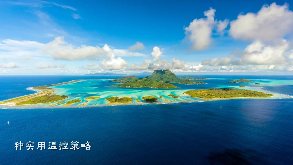 种实用温控策略