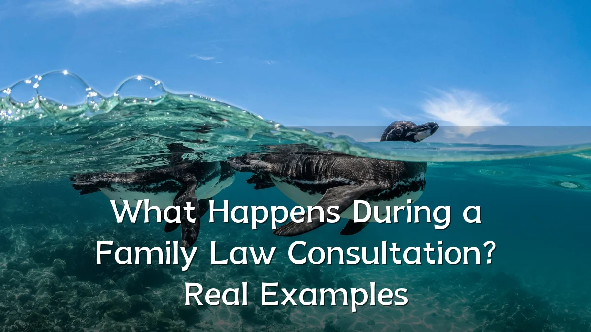 What Happens During a Family Law Consultation? Real Examples