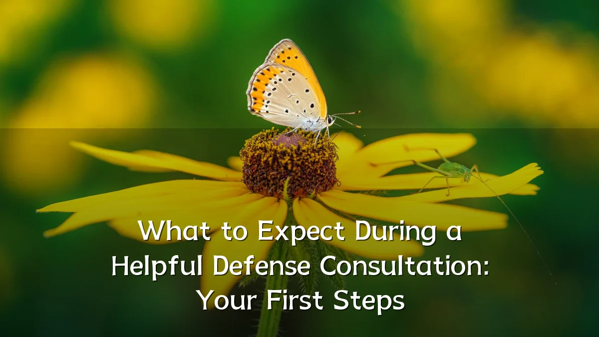 What to Expect During a Helpful Defense Consultation: Your First Steps