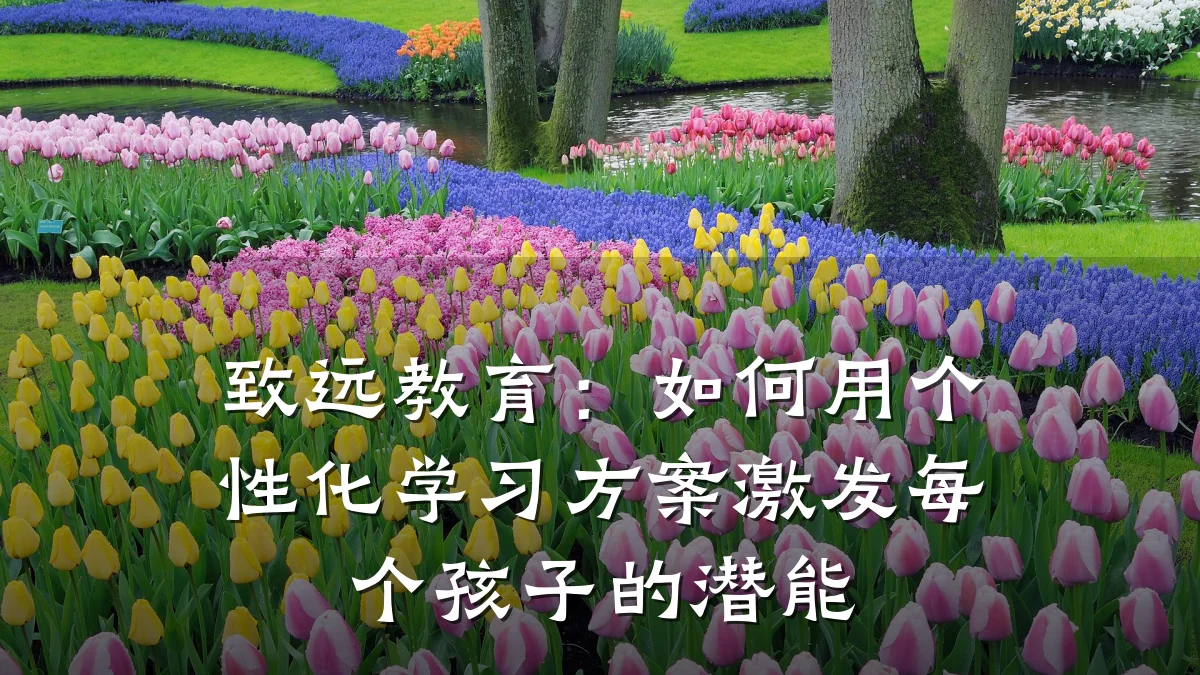 致远教育：如何用个性化学习方案激发每个孩子的潜能