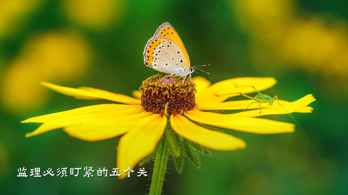 监理必须盯紧的五个关