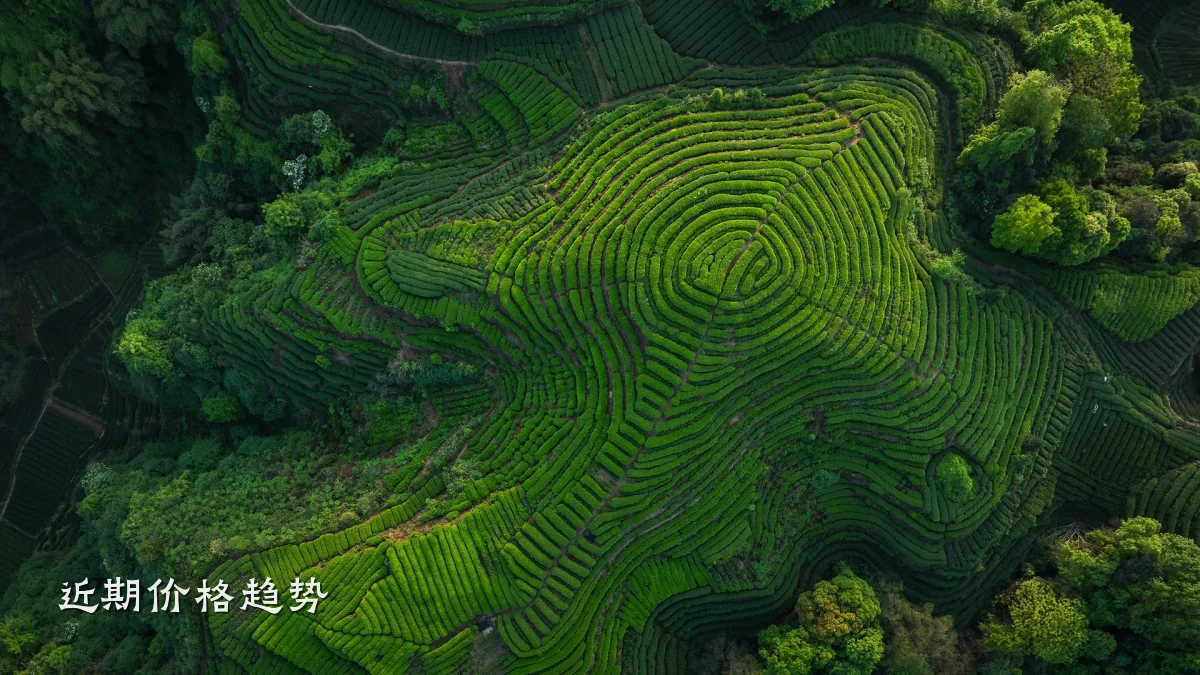 近期价格趋势