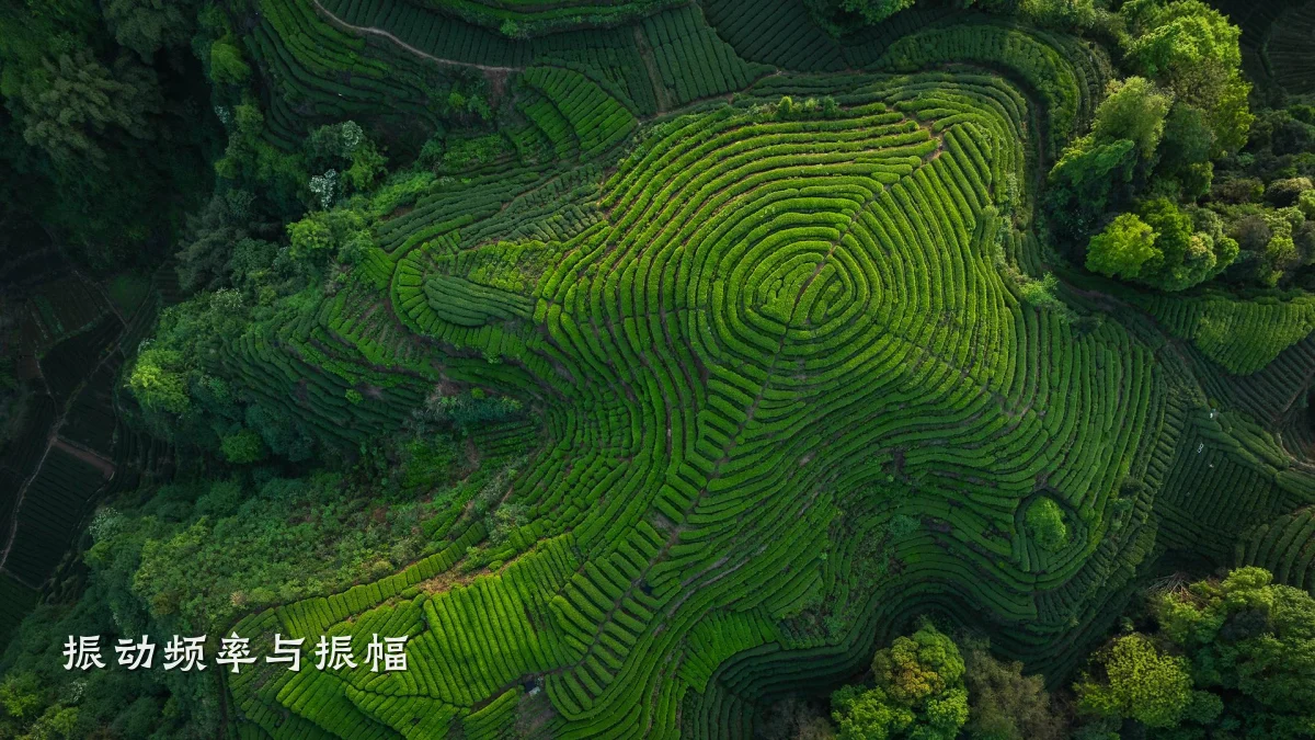 振动频率与振幅