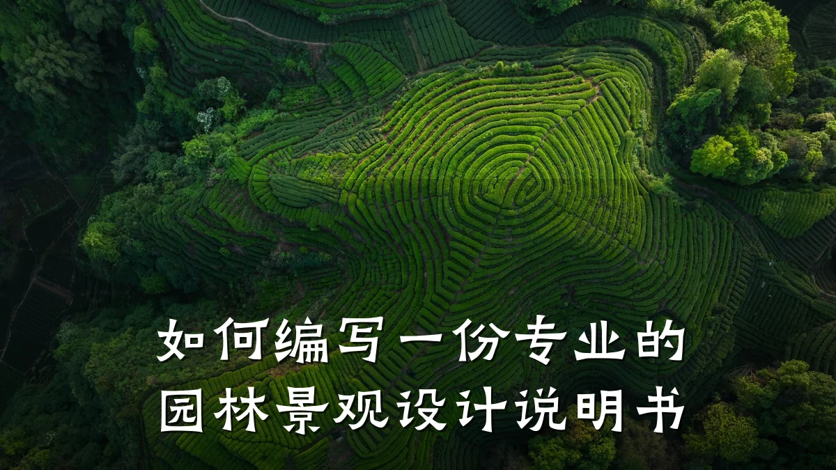 如何编写一份专业的园林景观设计说明书