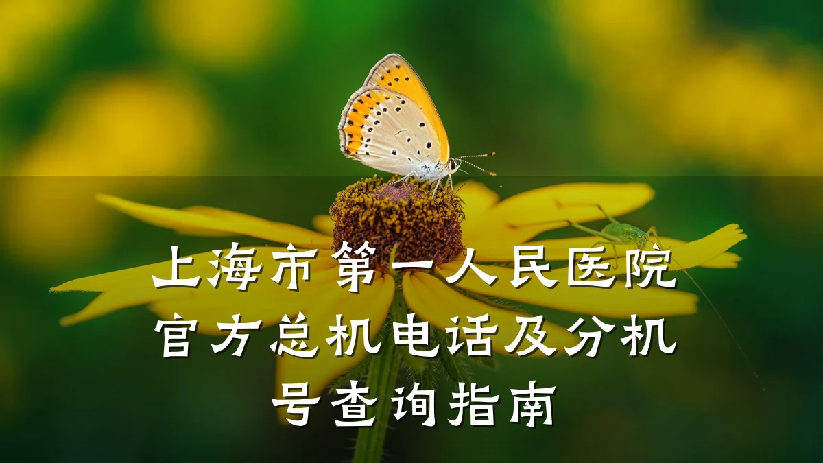 上海市第一人民医院官方总机电话及分机号查询指南