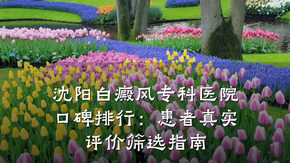 沈阳白癜风专科医院口碑排行:患者真实评价筛选指南