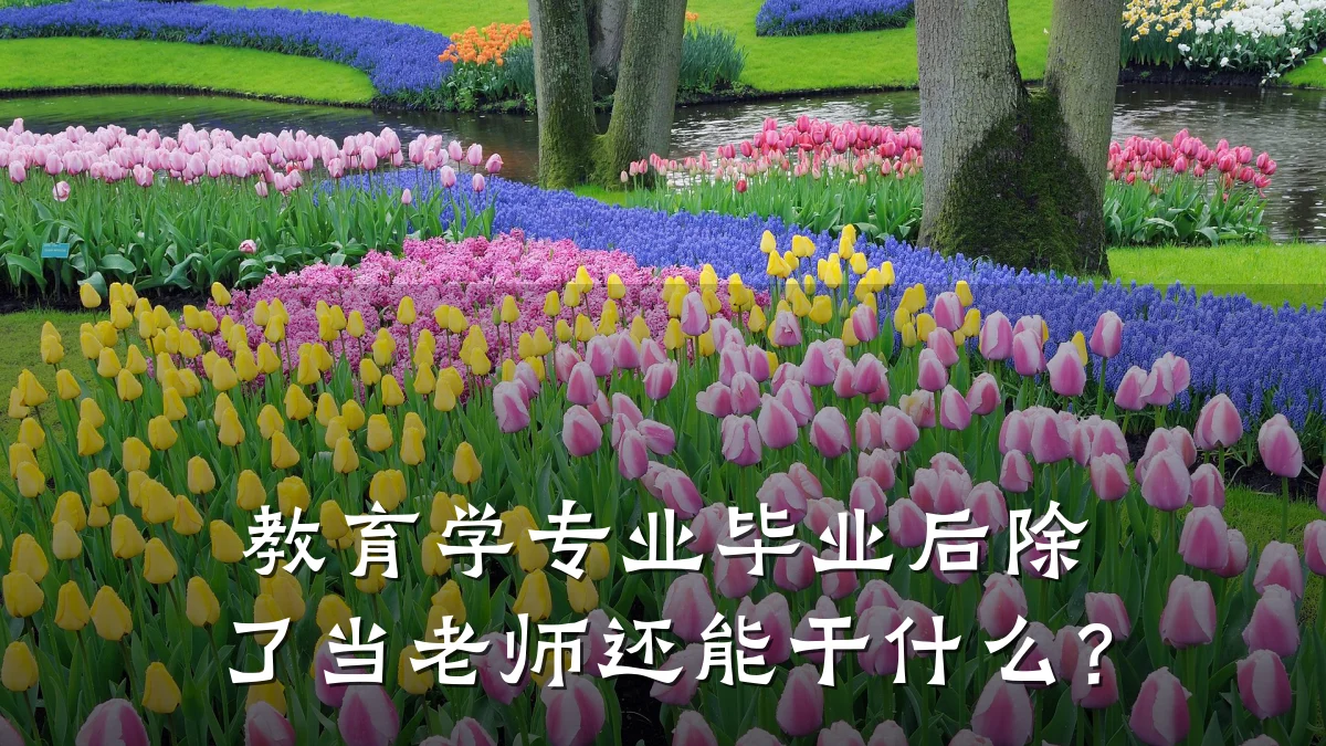 教育学专业毕业后除了当老师还能干什么？
